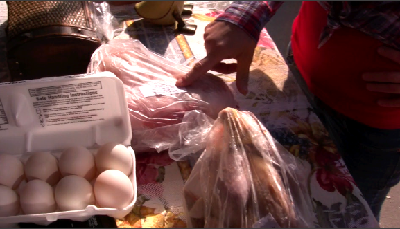 Sebastian Bonneu from Countryside Farm shows off duck eggs, a rabbit and a Guinea Hen raised on his farm.
